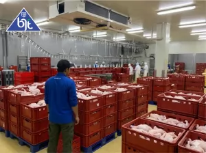 Apa Itu Cold Room? Solusi Penyimpanan Produk dalam Suhu Dingin